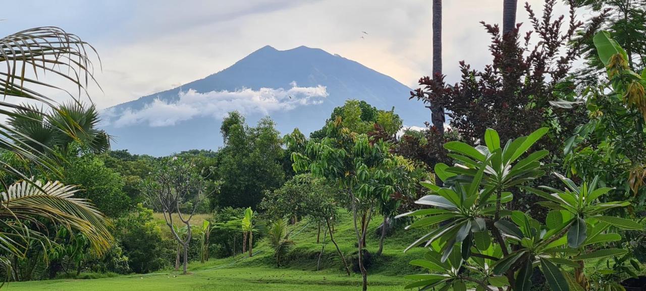Palm Springs Bali Dive Resort Tulamben  Bagian luar foto