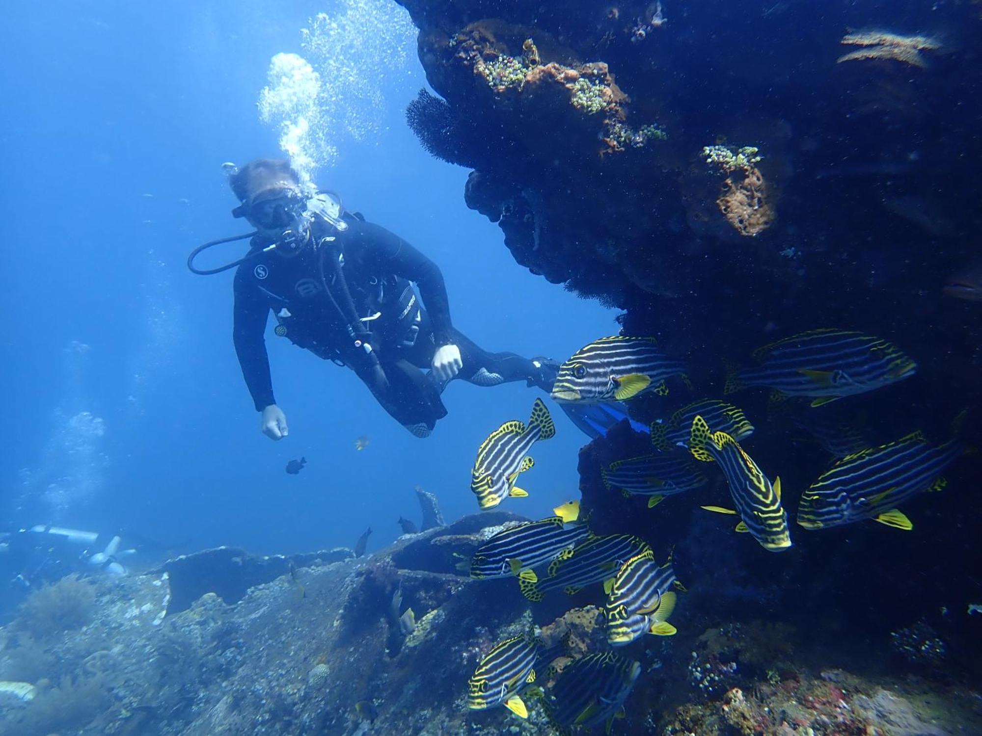 Palm Springs Bali Dive Resort Tulamben  Bagian luar foto